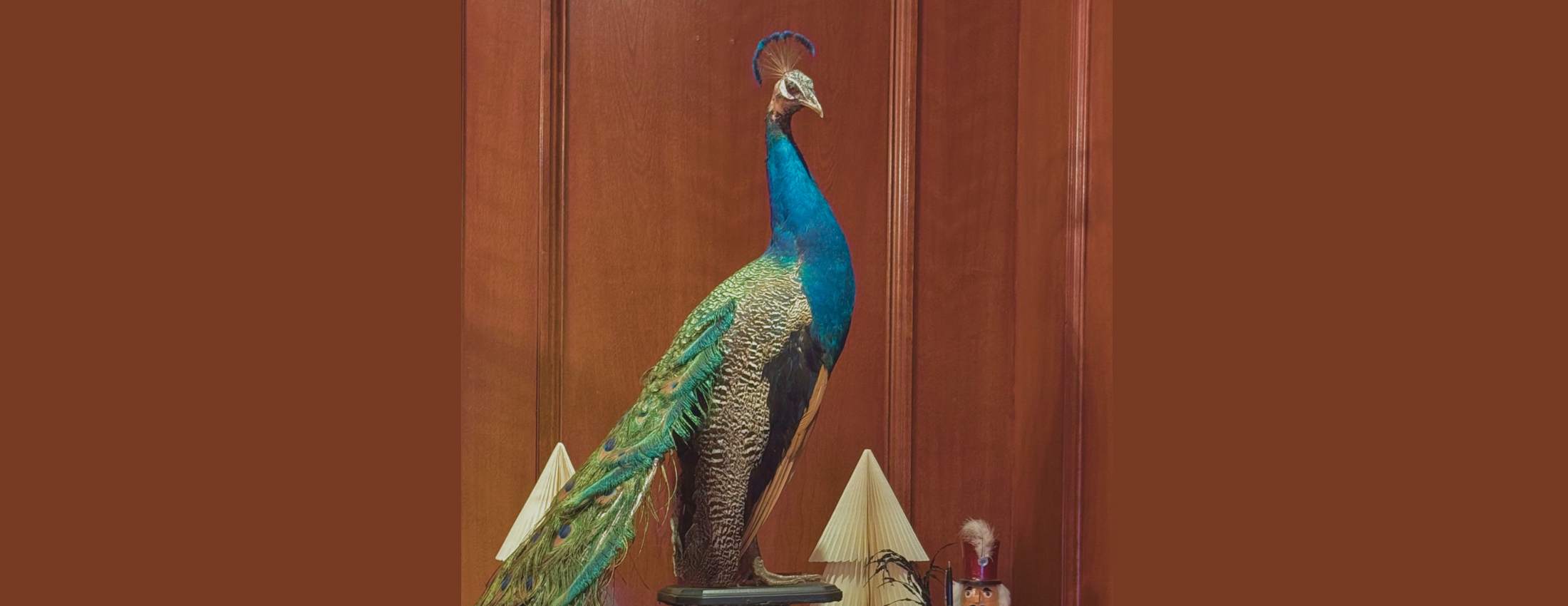 Pop-Up at The Sorrento Hotel